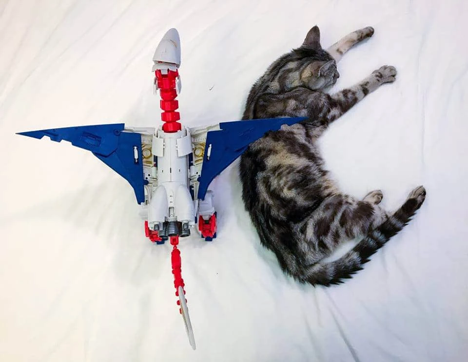 Mastermind Creations R-36 Inventa Sky Lynx 4 Mastermind Creations R-36 Inventa Sky Lynx - Image 4