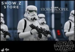 Hot Toys HT 1/6 Stormtrooper Storm Trooper MMS514 Star Wars Standard Version -Toy Figure Store 6760f5bf6e