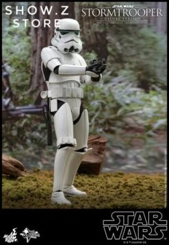 Hot Toys HT 1/6 Stormtrooper Storm Trooper MMS514 Star Wars Standard Version -Toy Figure Store beb3ee9e18